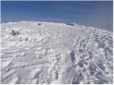 Planina Zajavornik - Mrežce